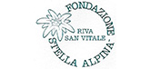 Casa Vacanze  stella alpina Camperio Ticino Logo