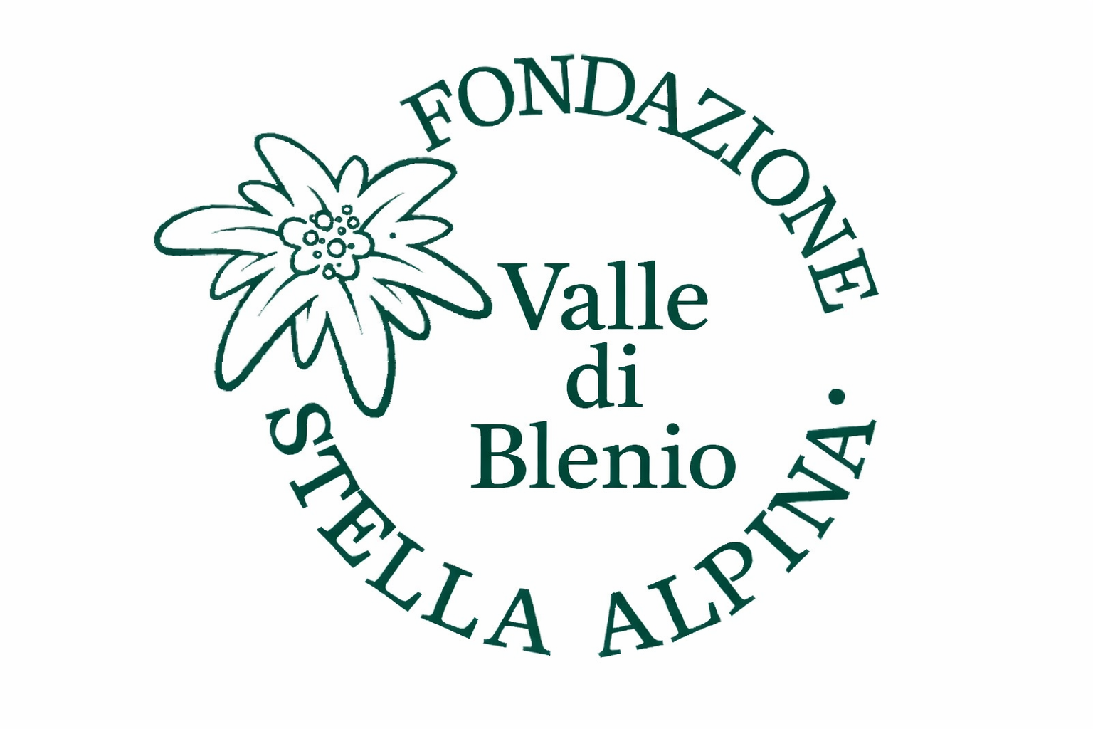 Fondazione Stella Alpina Logo